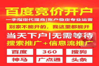 Sem优化公司成功案例：快速占领市场